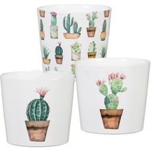 Product image of SCHEURICH 870/07 COVER-POT CACTUS GARDEN კერამიკის ქოთანი ყვავილებისთვის