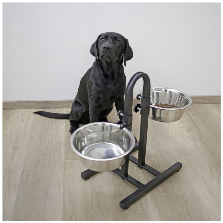 kerbl-dzaghlis-jami-photo-2