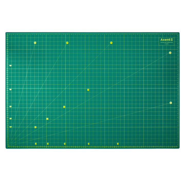 dafa-sachreli-axent-7904-a-a1-masshtaburi-tvitaghmdgeni