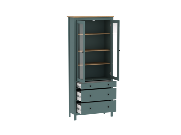 saga-karada-vitrinit-photo-2