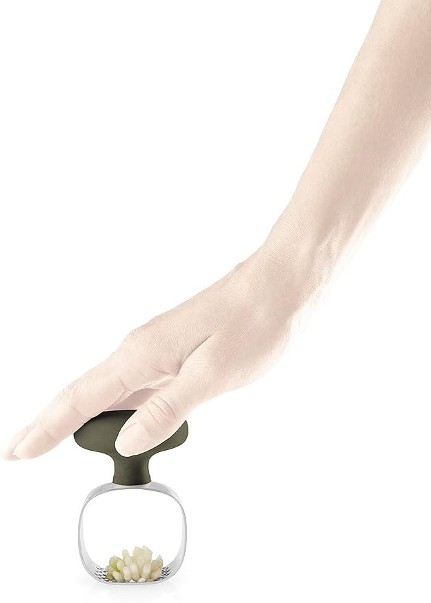 eva-solo-nioris-sachqleti-photo-4