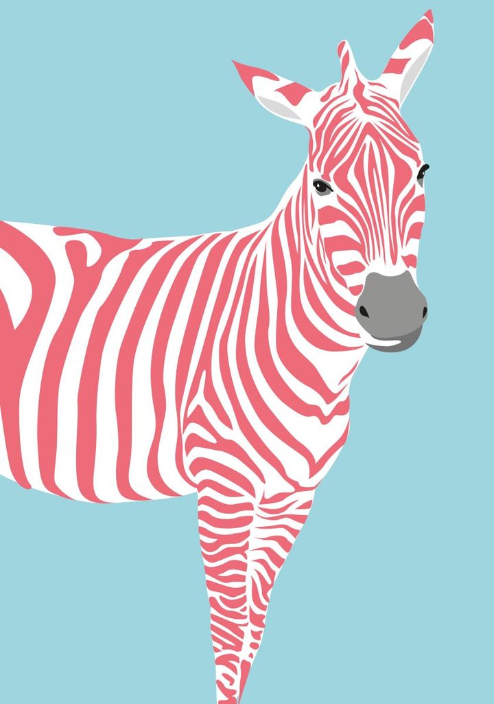 misalotsi-barati-vardisferi-zebra