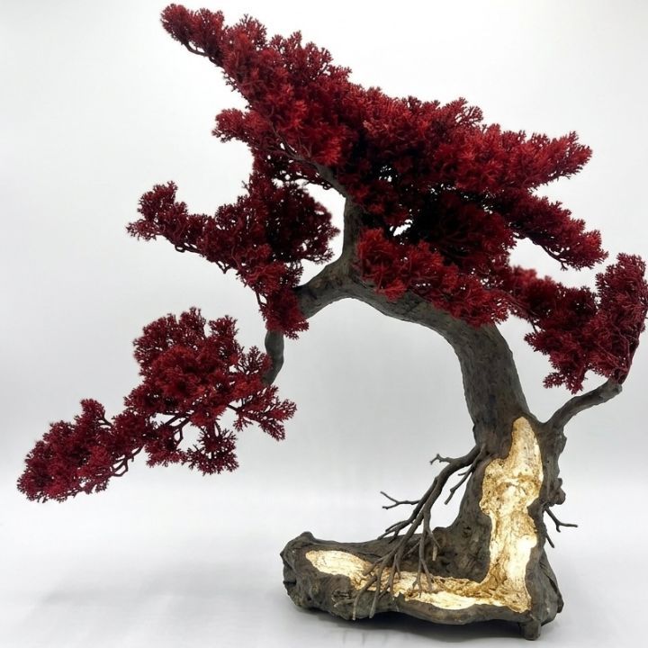 eterna-dekoratiuli-khe---bonsai-604560-photo-2