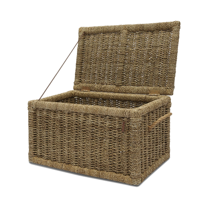 laboratory-my-home-satavso-photo-2