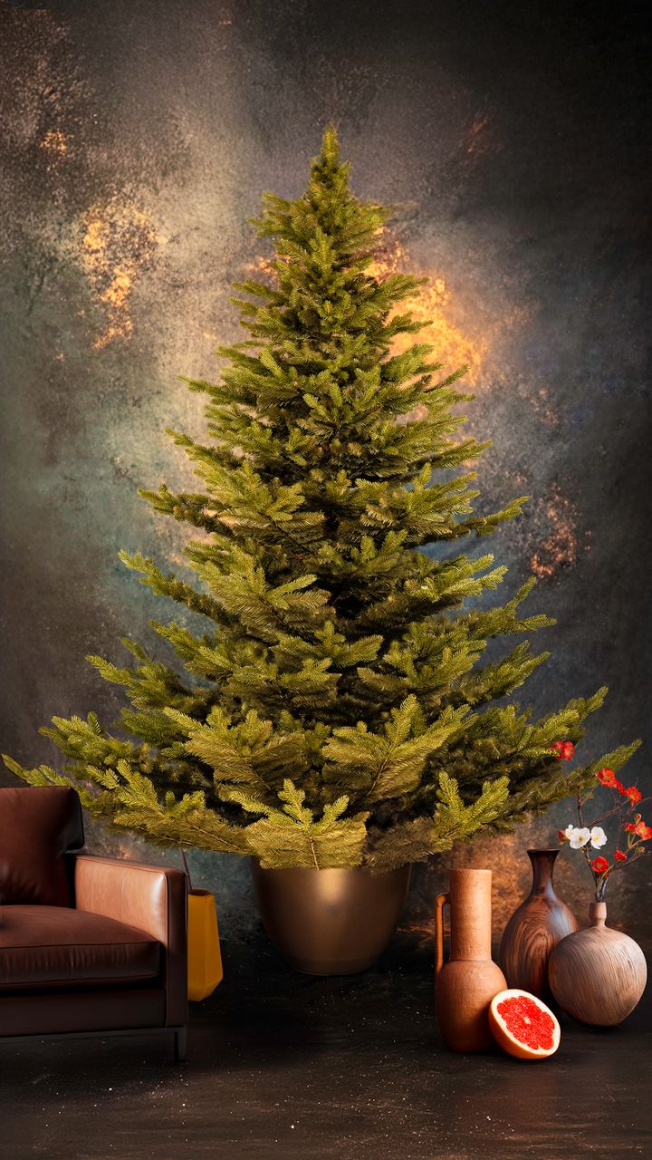 malali-250sm---dizaineruli-nadzvis-khe-shako-da-ninosgan-photo-2