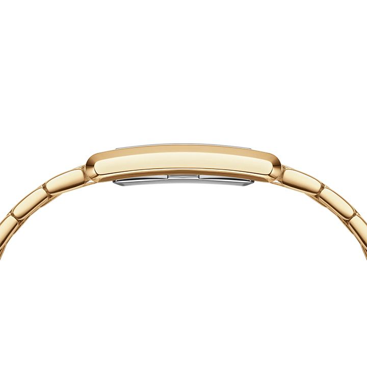 daniel-wellington-quartz-watch-qalis-majis-saati-photo-2