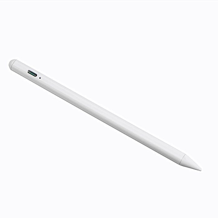 universal-apple-ipad-2-in-1-pen-stilusi