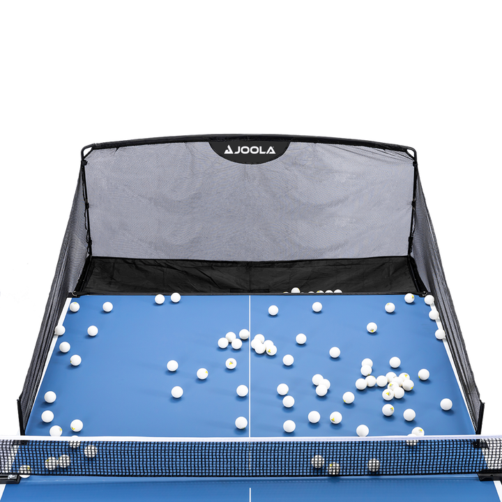 joola-ball-catch-net-burtebis-damcheri-bade-photo-2