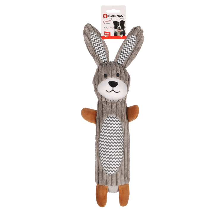 flagino-dt-gommy-rabbit-corduroy-dzaghlis-satamasho-photo-2