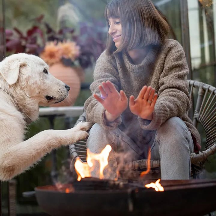 baghis-bukhari-photo-2