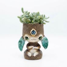 Product image of Dear Plants Sedum Pachyphyllum მცენარე ქოთნით