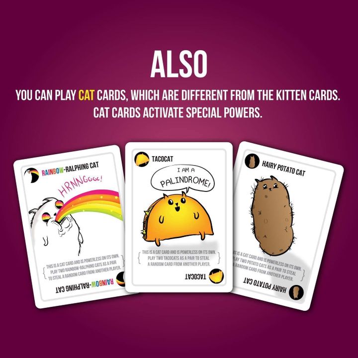 samagido-tamashi-exploding-kittens-party-photo-3