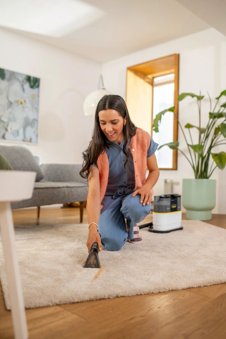 karcher-cleaner-se-2-spot-care-qimiuri-tsmendis-aparati-photo-2