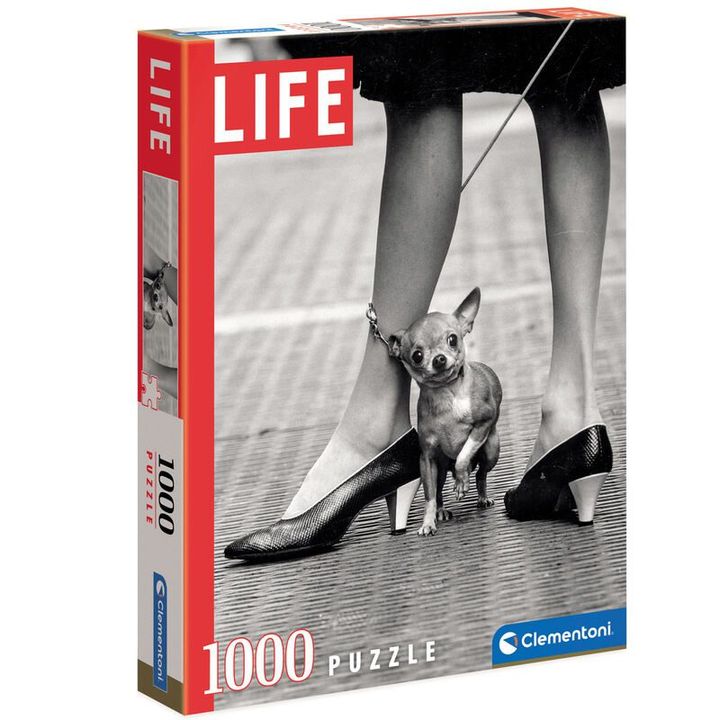 clementoni-life-puppy1000-tsali-fazli
