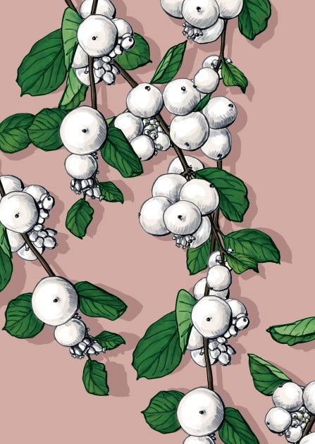 misalotsi-barati-binilo