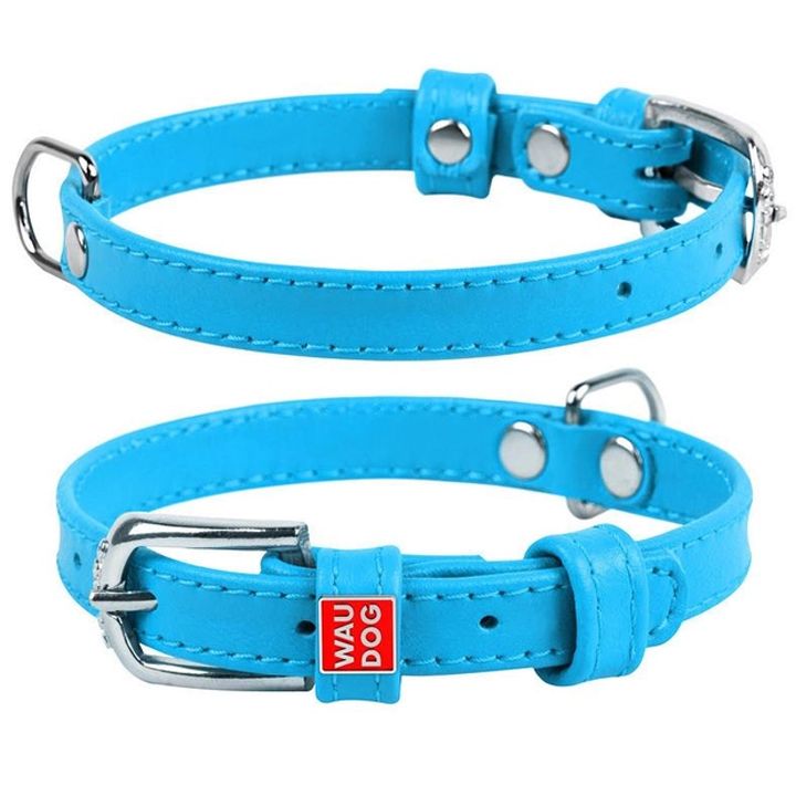 collar-dzaghlis-saqelo-photo-2