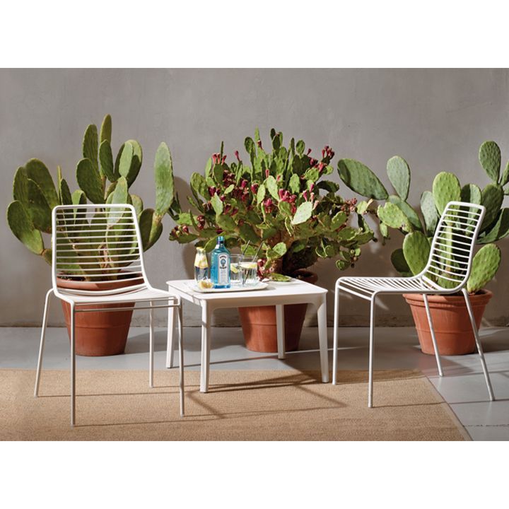 scab-argo-dabali-magida-photo-4