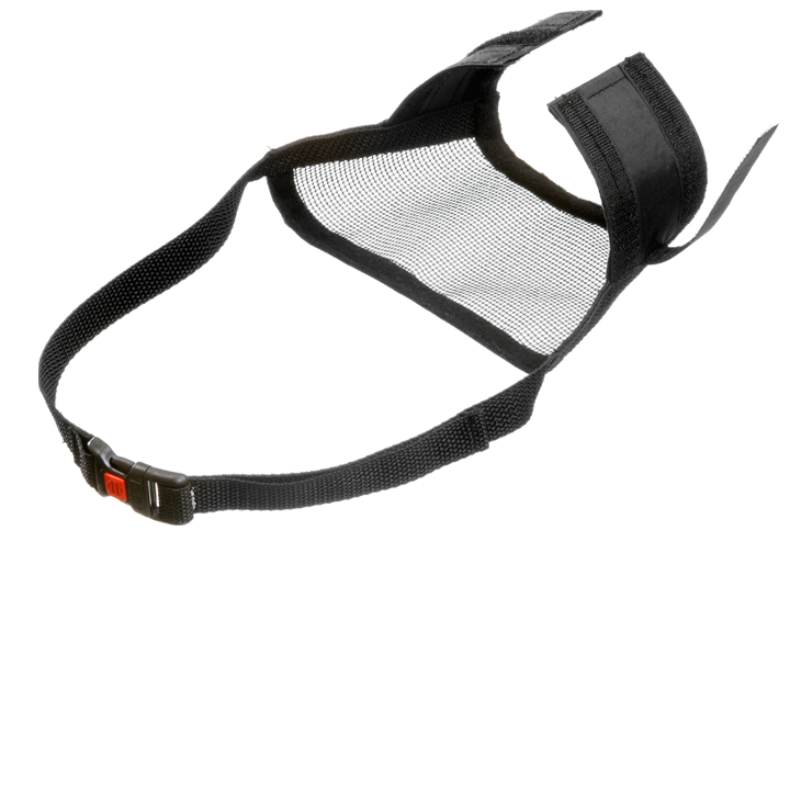 flamingo-dzaghlis-alikapi-photo-2