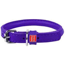 Product image of COLLAR ძაღლის საყელო