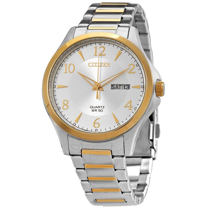 citizen-bf2005-54a-katsis-saati