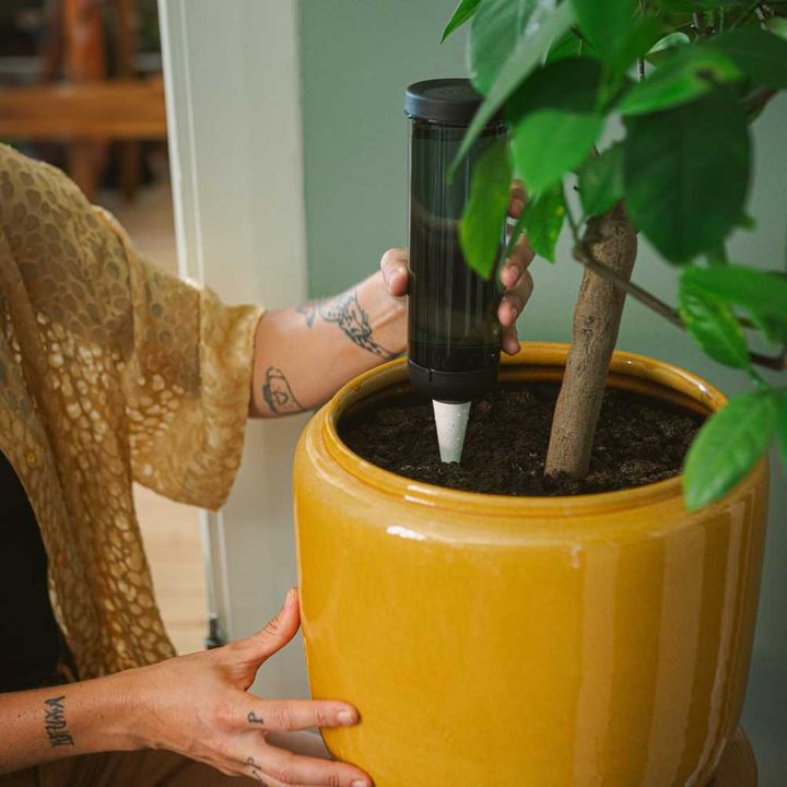 fiskars-plant-care-water-spike-tsvetovani-sartsqavi-qotnistvis-photo-3