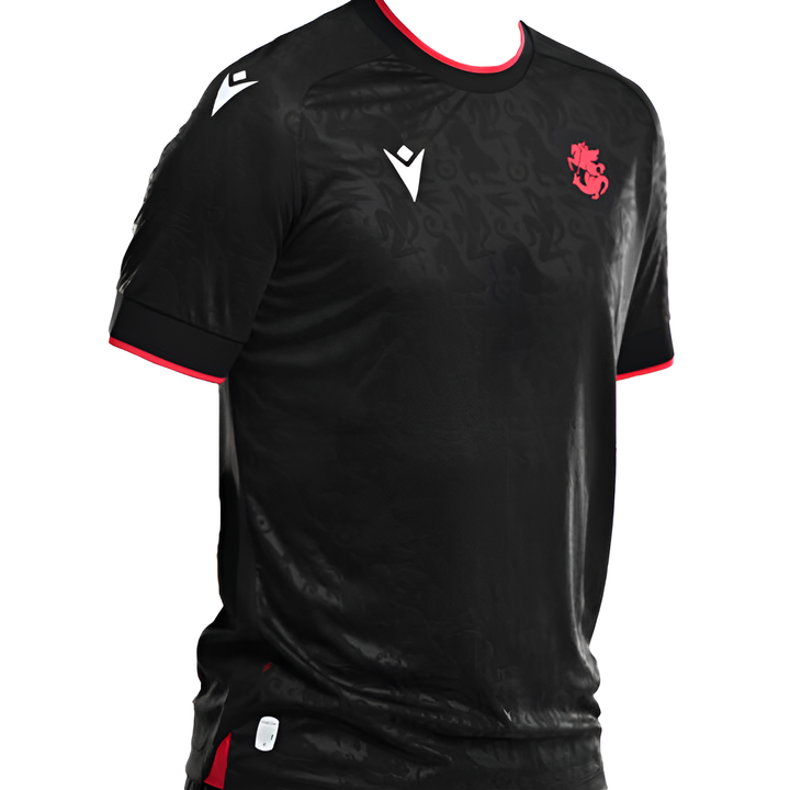 erovnuli-nakrebis-2025-tslis-bavshvis-maisuri-shavi