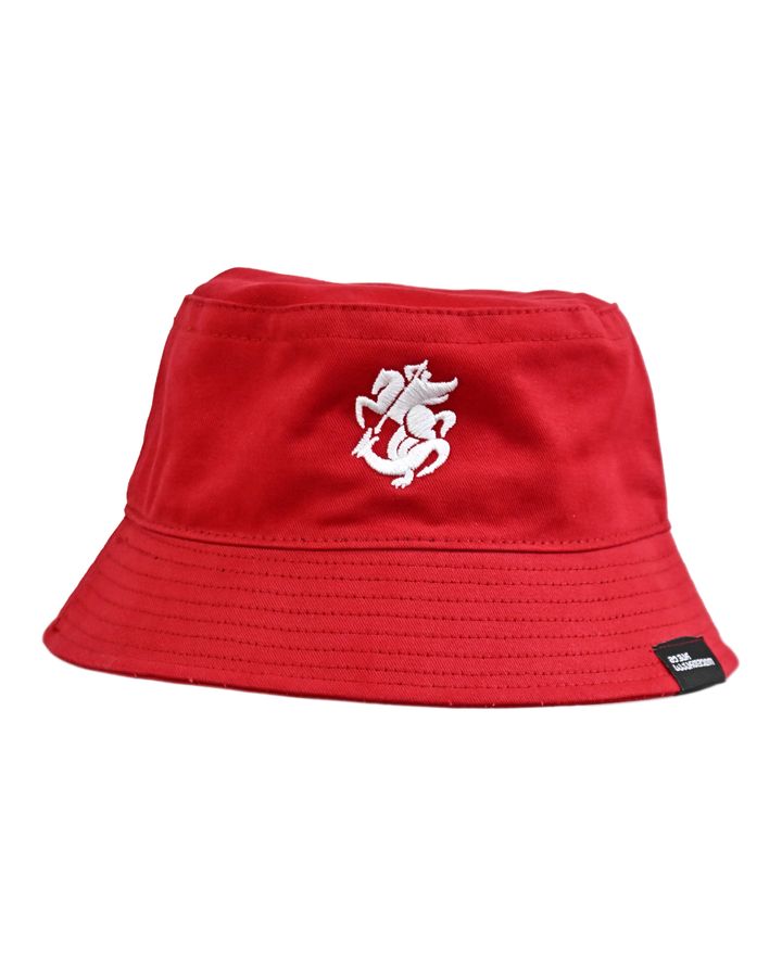 erovnuli-nakrebis-panama-tsiteli