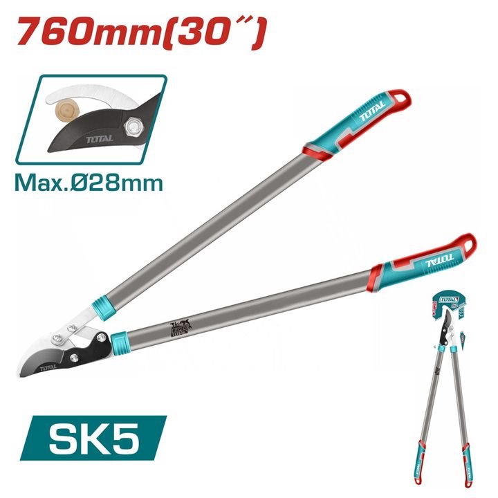 total-ht1527401-760mm-buchqis-sakrechi-photo-2