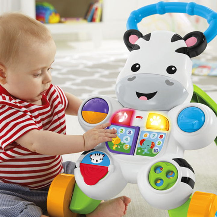 fisher-price---volqeri-zebra-photo-4