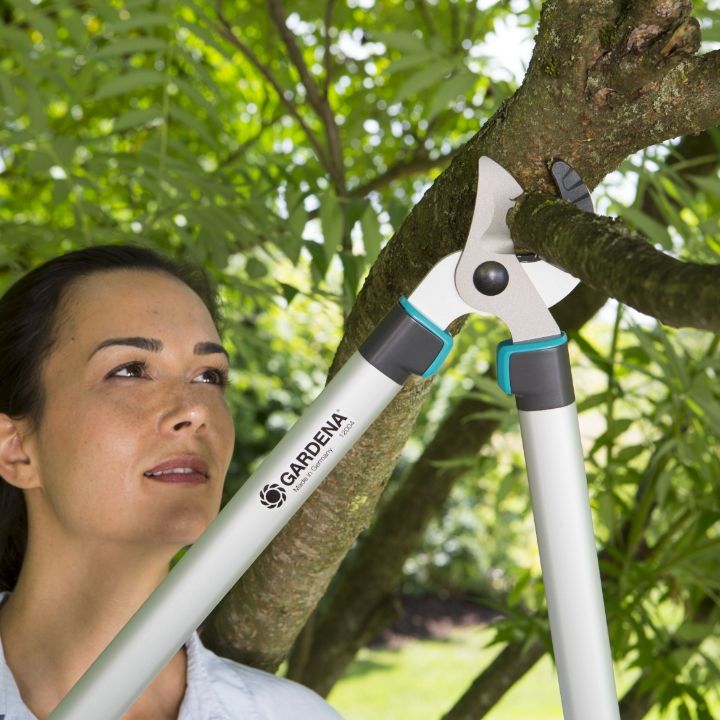 gardena-totebis-sachreli-sekatori-classic-pruning-lopper-680a-photo-3