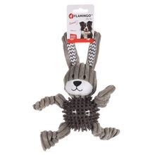 Product image of FLAGINO DT GOMMY RABBIT CORDUROY ძაღლის სათამაშო