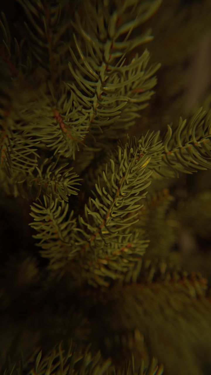 marmenio-280sm-ganieri---dizaineruli-nadzvis-khe-shako-da-ninosgan-photo-4