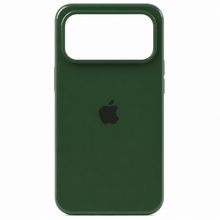 Product image of iPhone 17 Pro Max Silicone Case Green მობილური ტელეფონის ქეისი