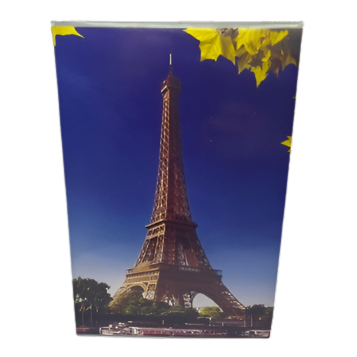 96-furtsliani-tsalkhaziani-a4-rveuli-eiffel-tower