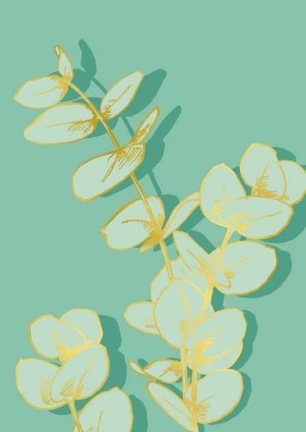 misalotsi-barati-kalipo