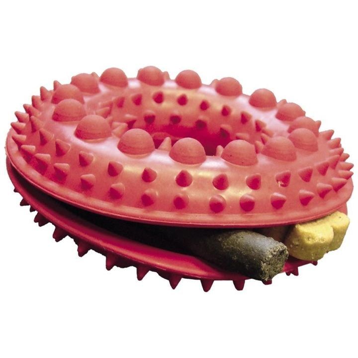 nobby-dzaghlis-satamasho-photo-2