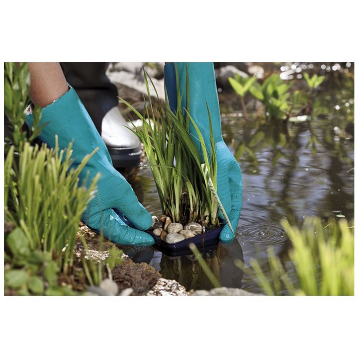 gardena-tsqlis-kheltatmani-photo-2