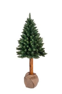 Product image of ნაძვის ხე Pinus green