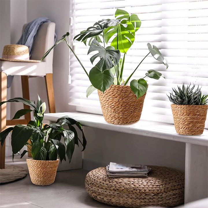 mtsenaris-kalata-m-photo-2