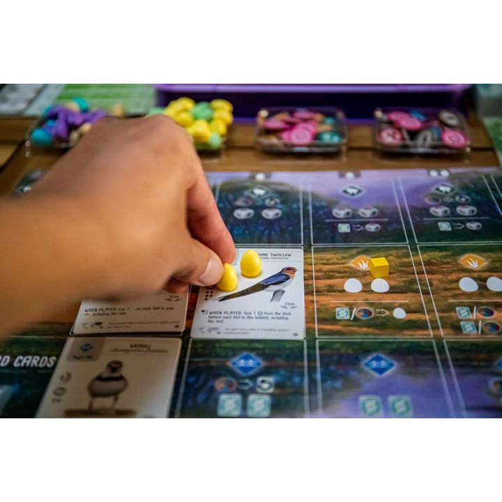 samagido-tamashi-wingspan-oceania-expansion-photo-3