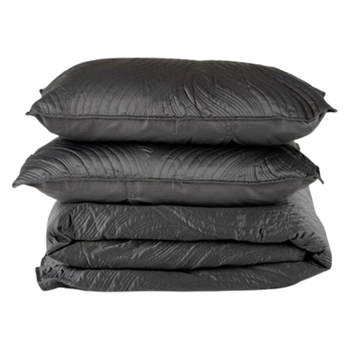 manamo-satsolis-gadasafarebeli