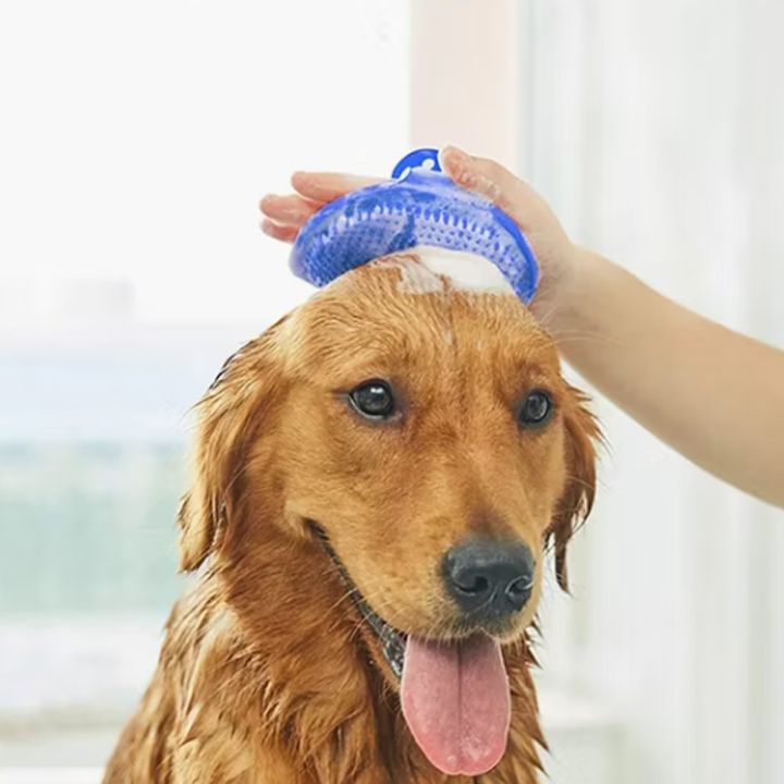 shinauri-tskhovelis-savartskheli-photo-2