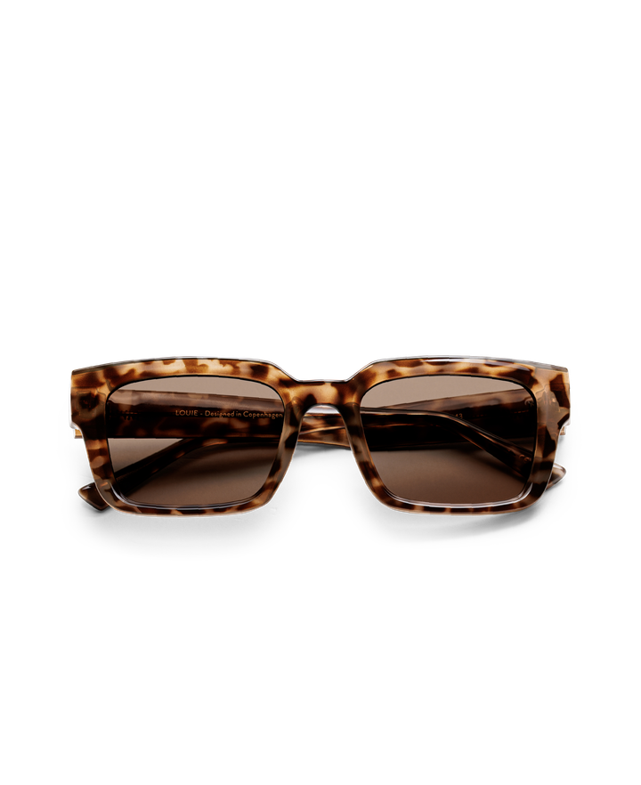 messy-weekend-louie-brown-egyptian-tortoise-mzis-satvale-photo-2