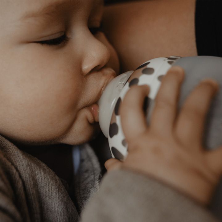 elhee-rdzis-botli-graouu---240-ml-photo-4