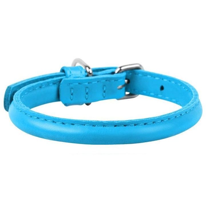 collar-dzaghlis-saqelo-photo-2