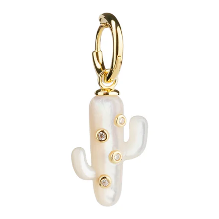 eshvi-saqure-mop-cactus-with-clear-crystals