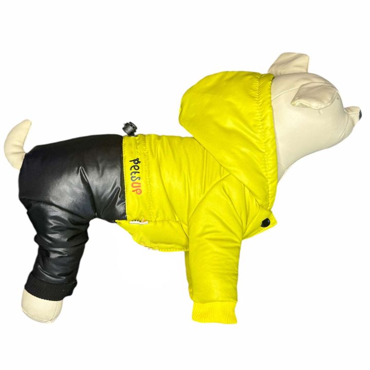 petsup-dzaghlis-tansatsmeli