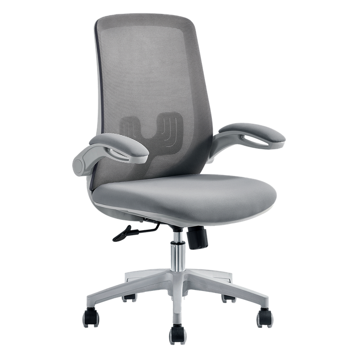 my-office-gorgolachebiani-savardzeli