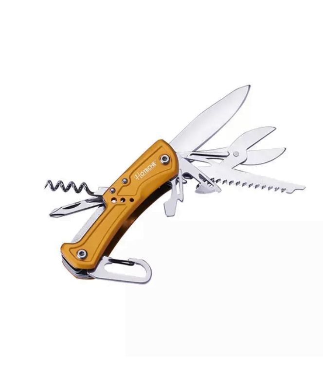 hoteche-9-1-shi-mravaljeradi-jibis-dana