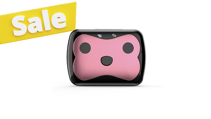 wonlex-pt02c-gps-trekeri-shinauri-tskhovelebistvis-vardisferi